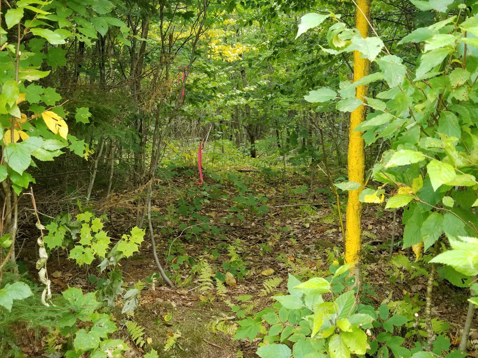 0 Beaver Lane Property Photo 35