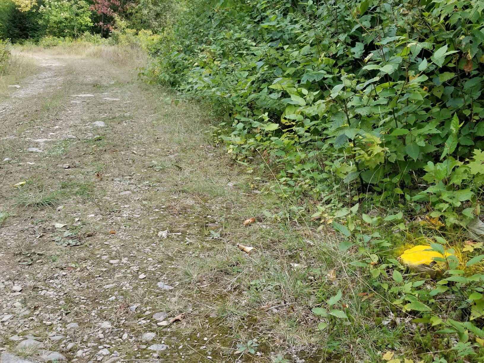 0 Beaver Lane Property Photo 38