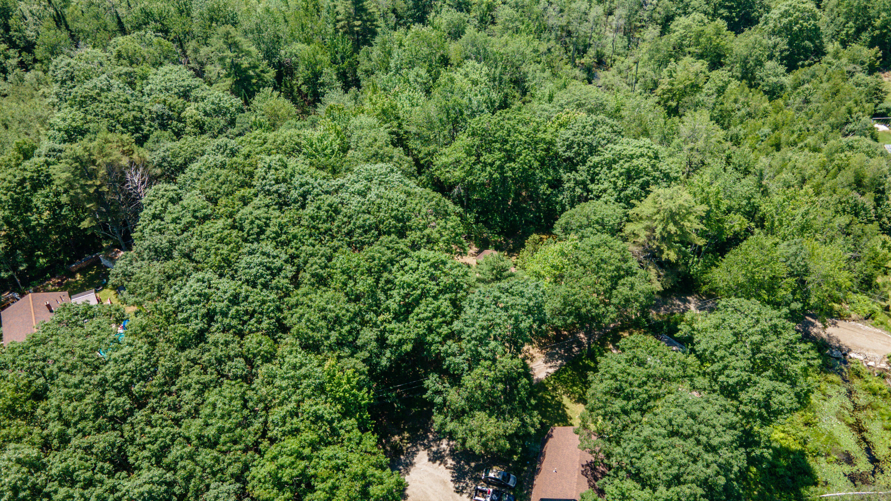 M12 L19 Rocque Lane Property Photo 2