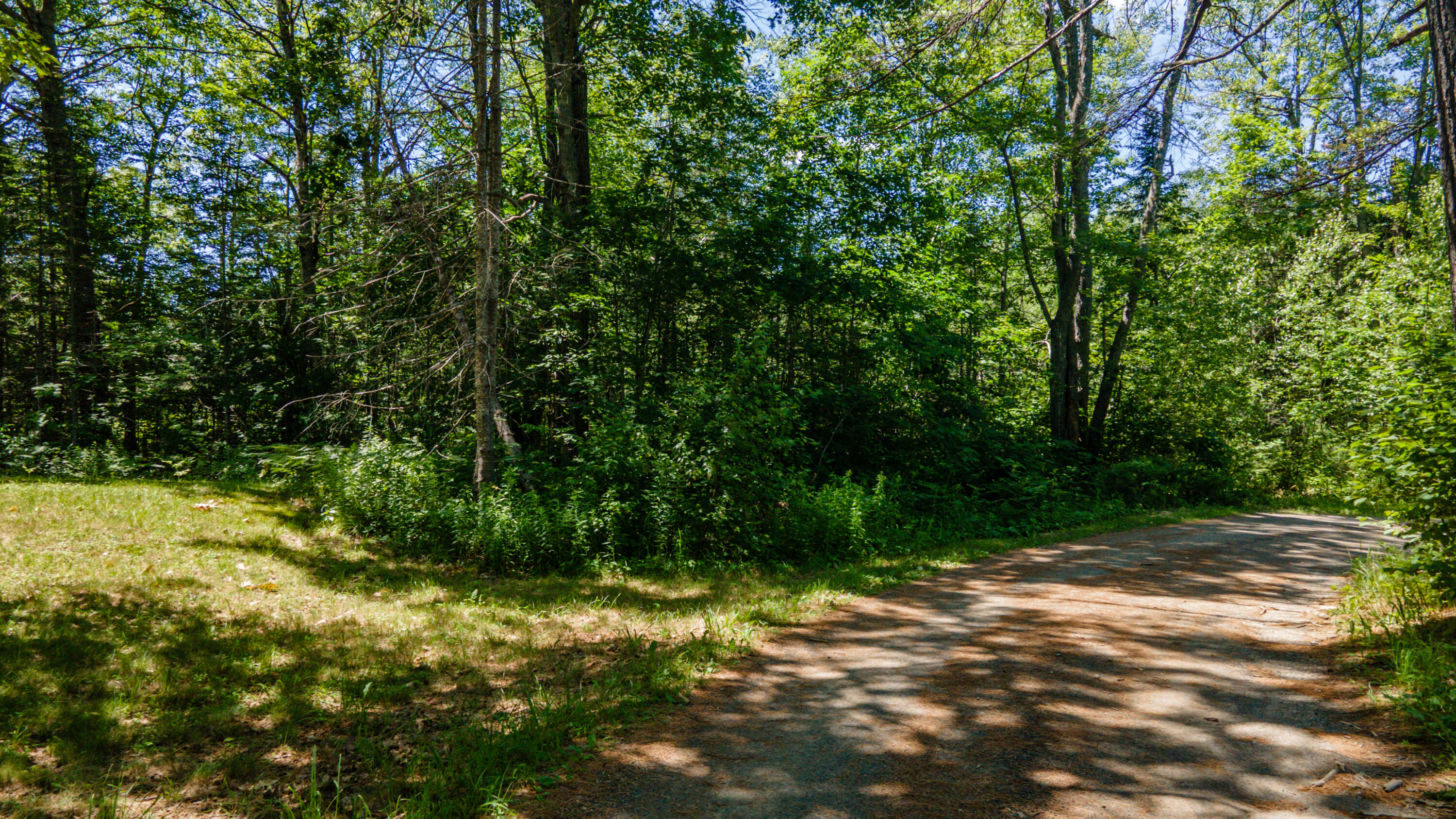 M12 L19 Rocque Lane Property Photo 16
