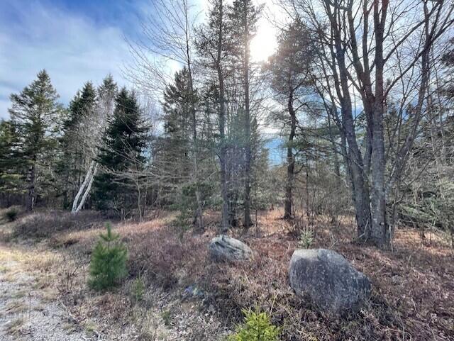 Lot #13 Putnam Drive Property Photo 2