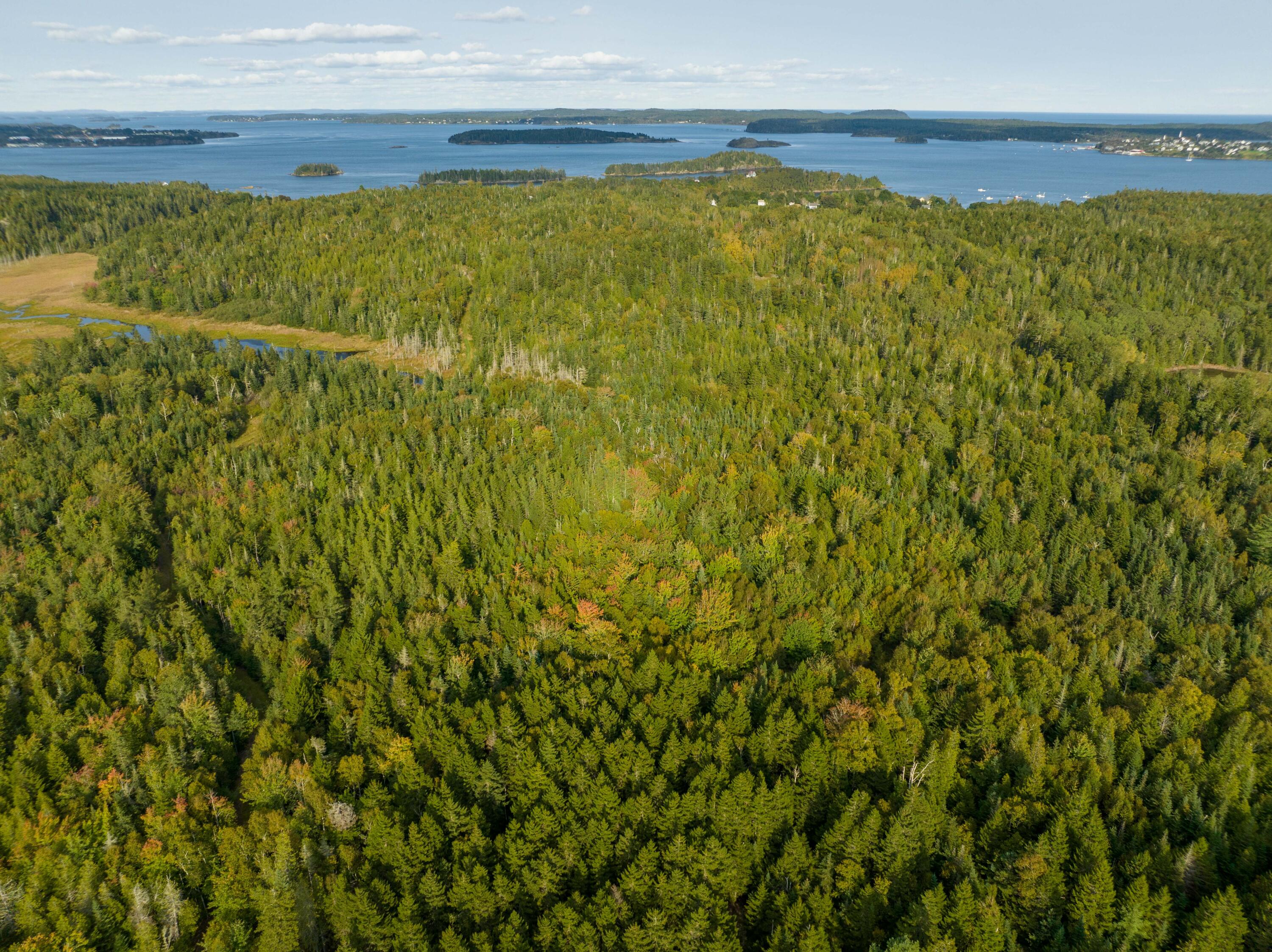 M11 L15 N Lubec Road Property Photo 28