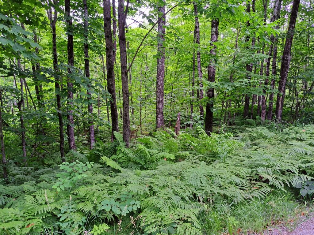 Lot 12 Barker Road Property Photo 1