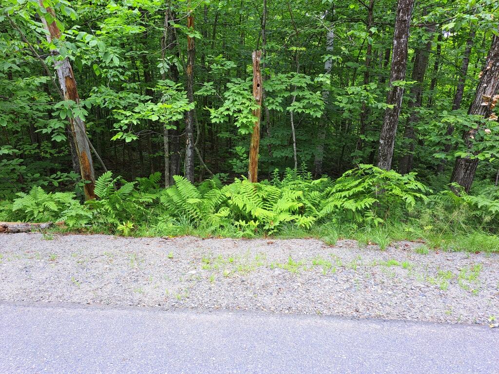 Lot 12 Barker Road Property Photo 3