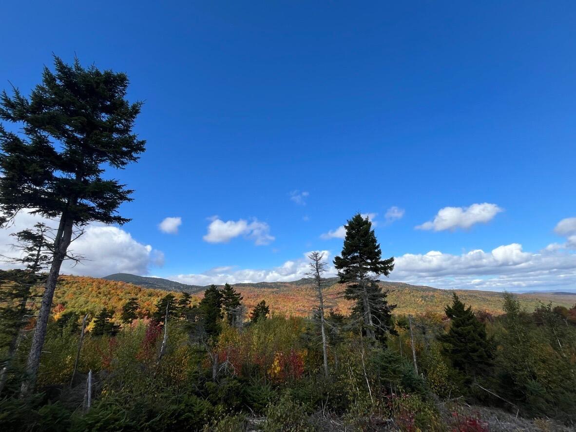 Lot#9 East Moose Alley Road Property Photo 2