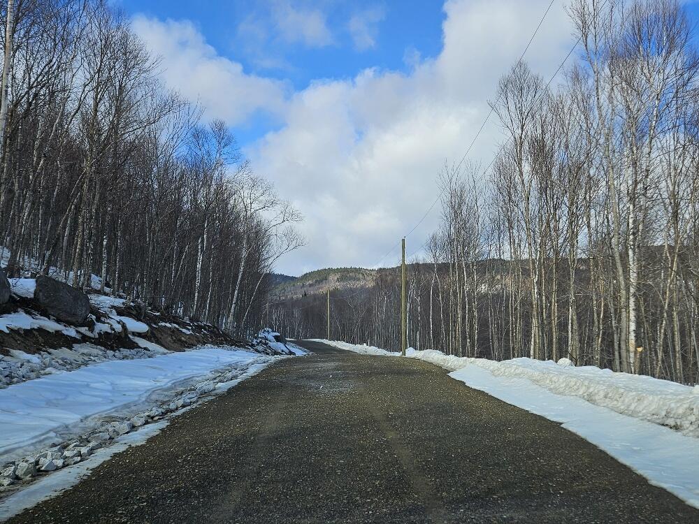 Lot#9 East Moose Alley Road Property Photo 3