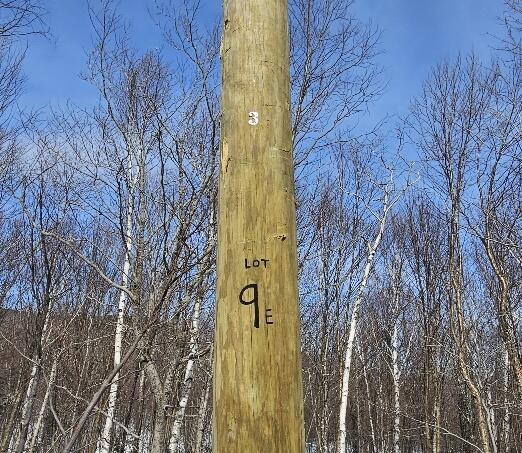 Lot#9 East Moose Alley Road Property Photo 4