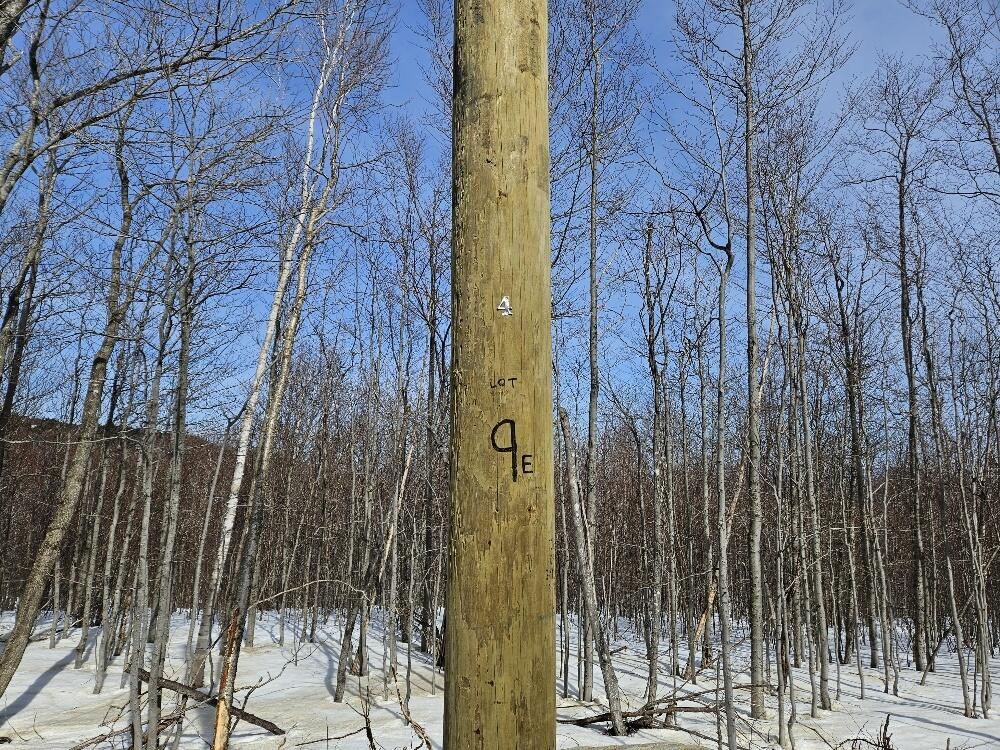 Lot#9 East Moose Alley Road Property Photo 5