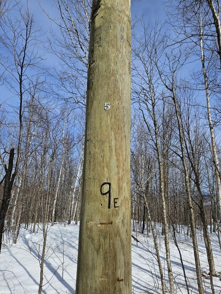 Lot#9 East Moose Alley Road Property Photo 6