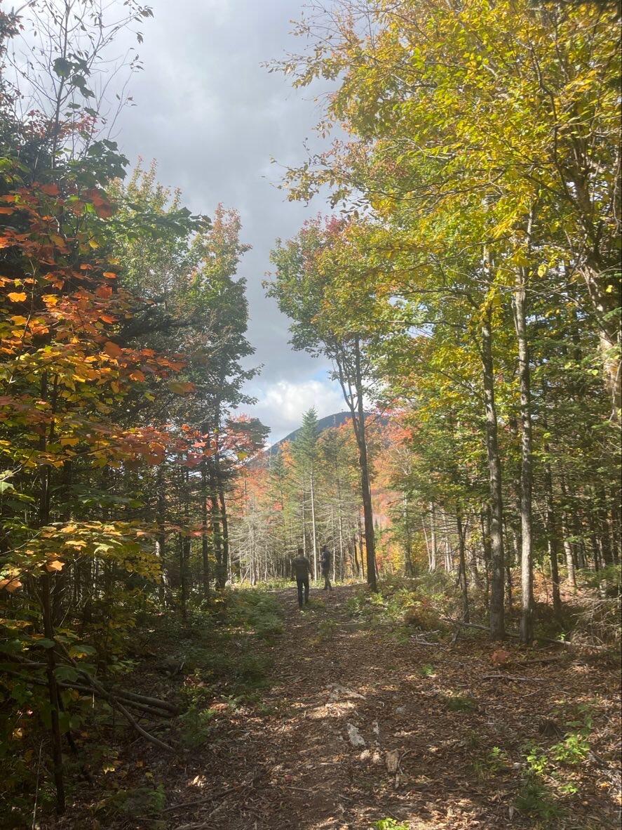 Lot#9 East Moose Alley Road Property Photo 12