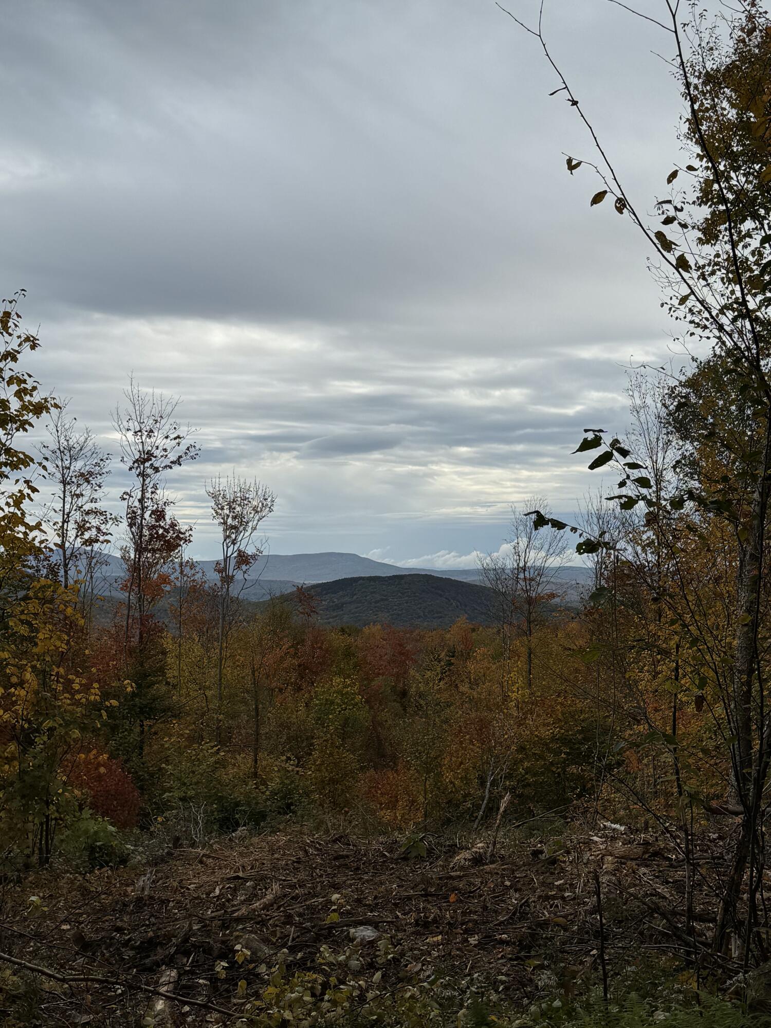 Lot#9 East Moose Alley Road Property Photo 19