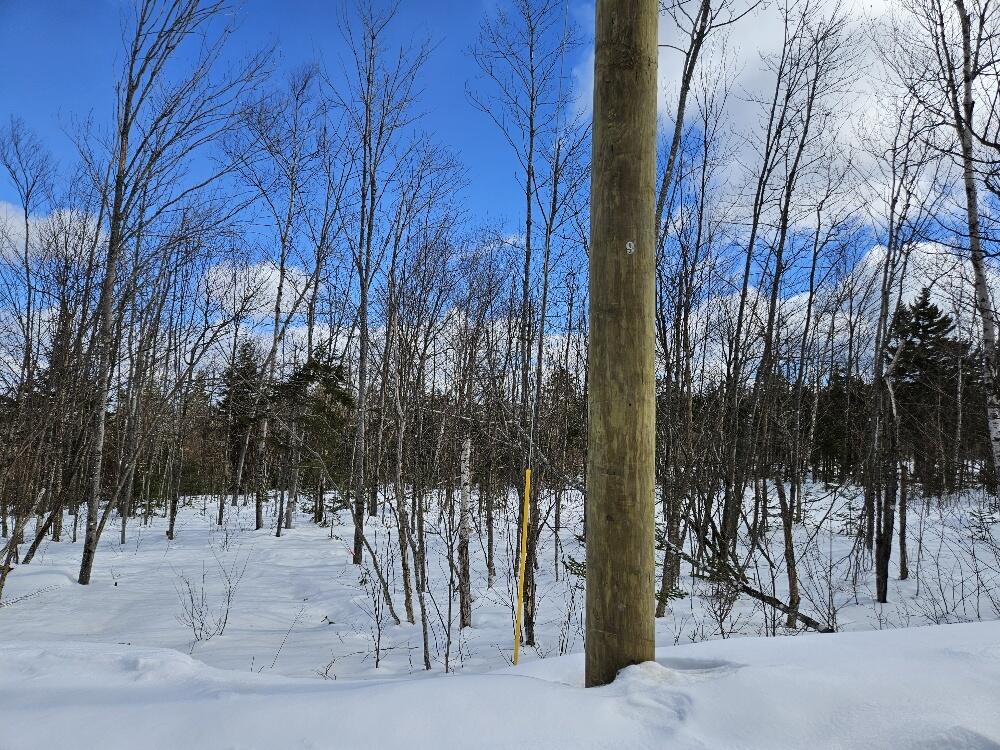 Lot#9 East Moose Alley Road Property Photo 20