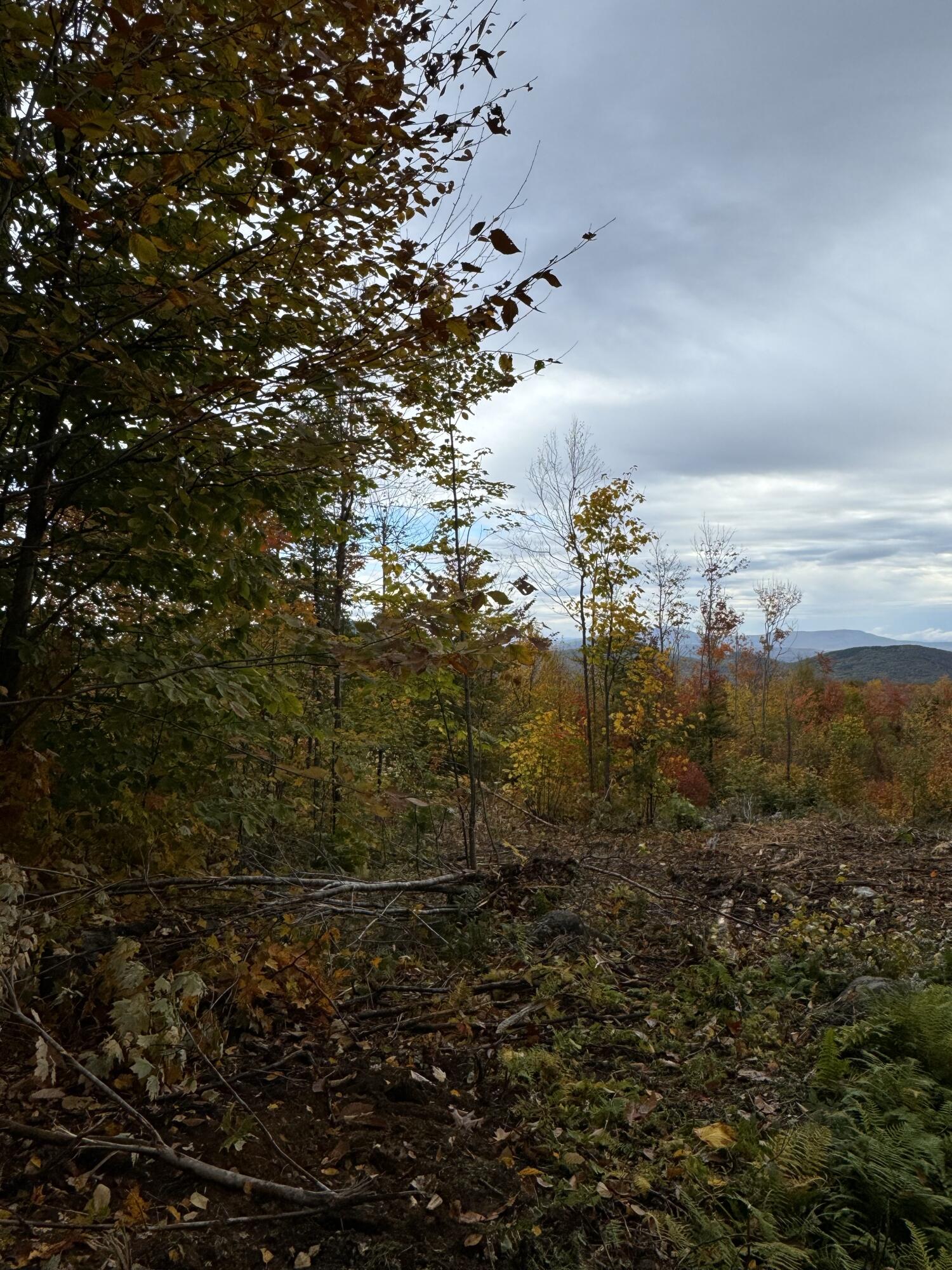 Lot#9 East Moose Alley Road Property Photo 23