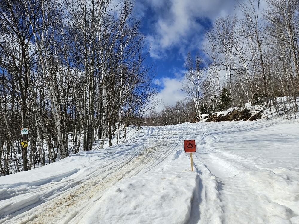 Lot#9 East Moose Alley Road Property Photo 26