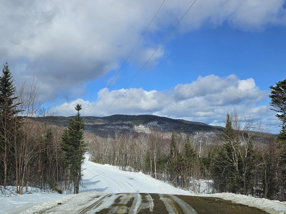Lot#9 East Moose Alley Road Property Photo 29