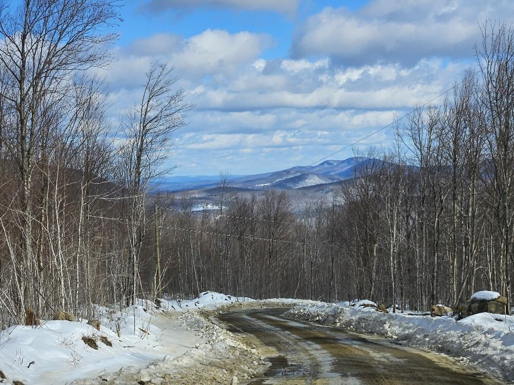 Lot#9 East Moose Alley Road Property Photo 33