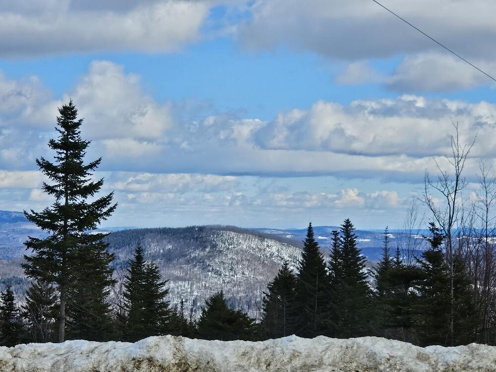 Lot#9 East Moose Alley Road Property Photo 36