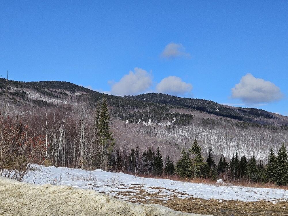 Lot#9 East Moose Alley Road Property Photo 37