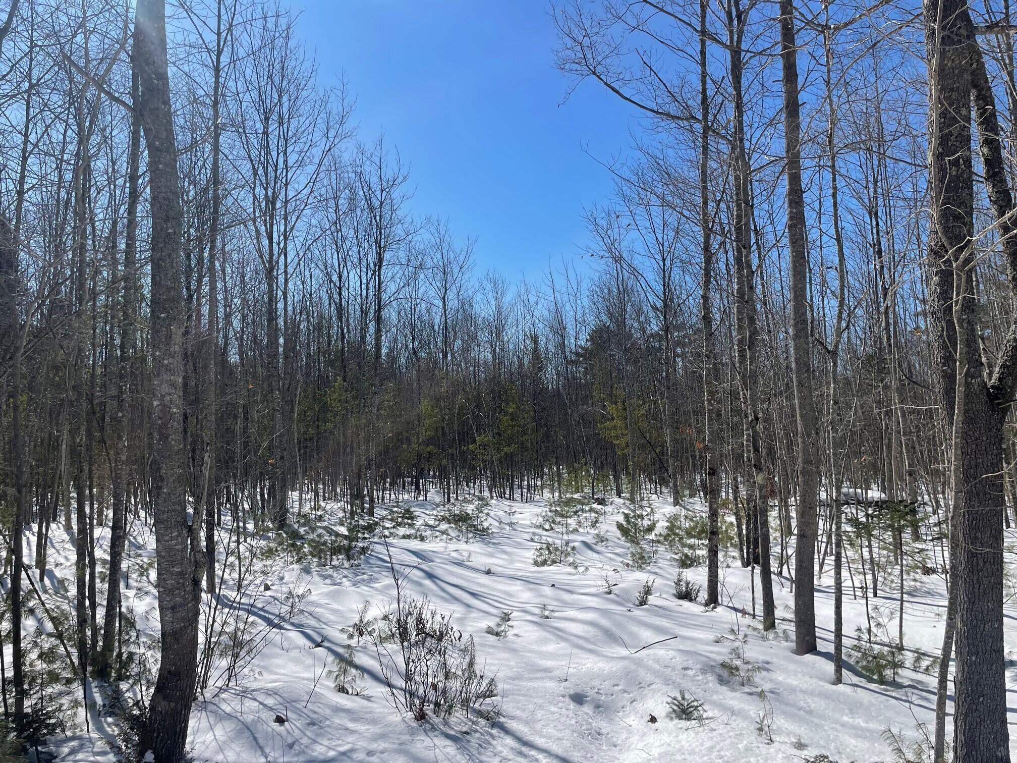 0 Maple Ridge Road Property Photo