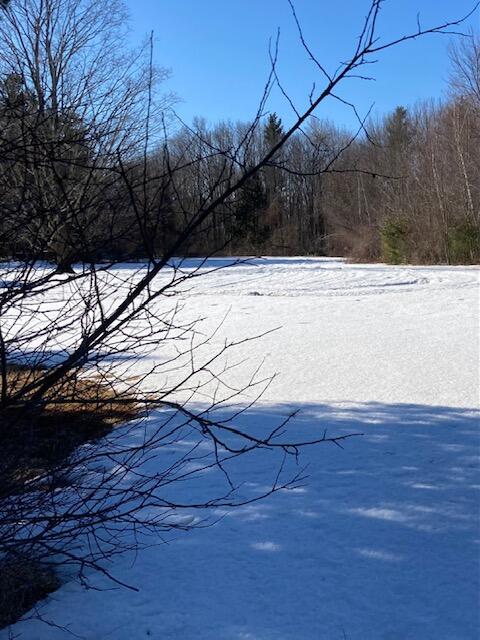 0 Biddeford Road Property Photo