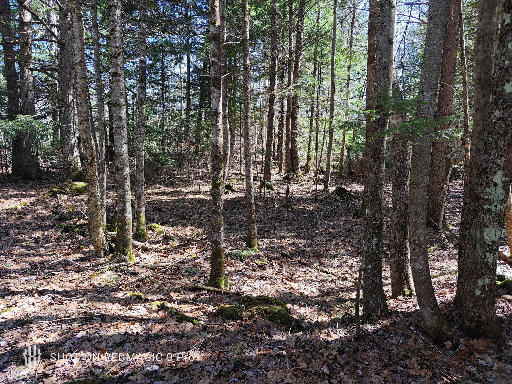 R1 38.1 Parsons Road Property Photo 1