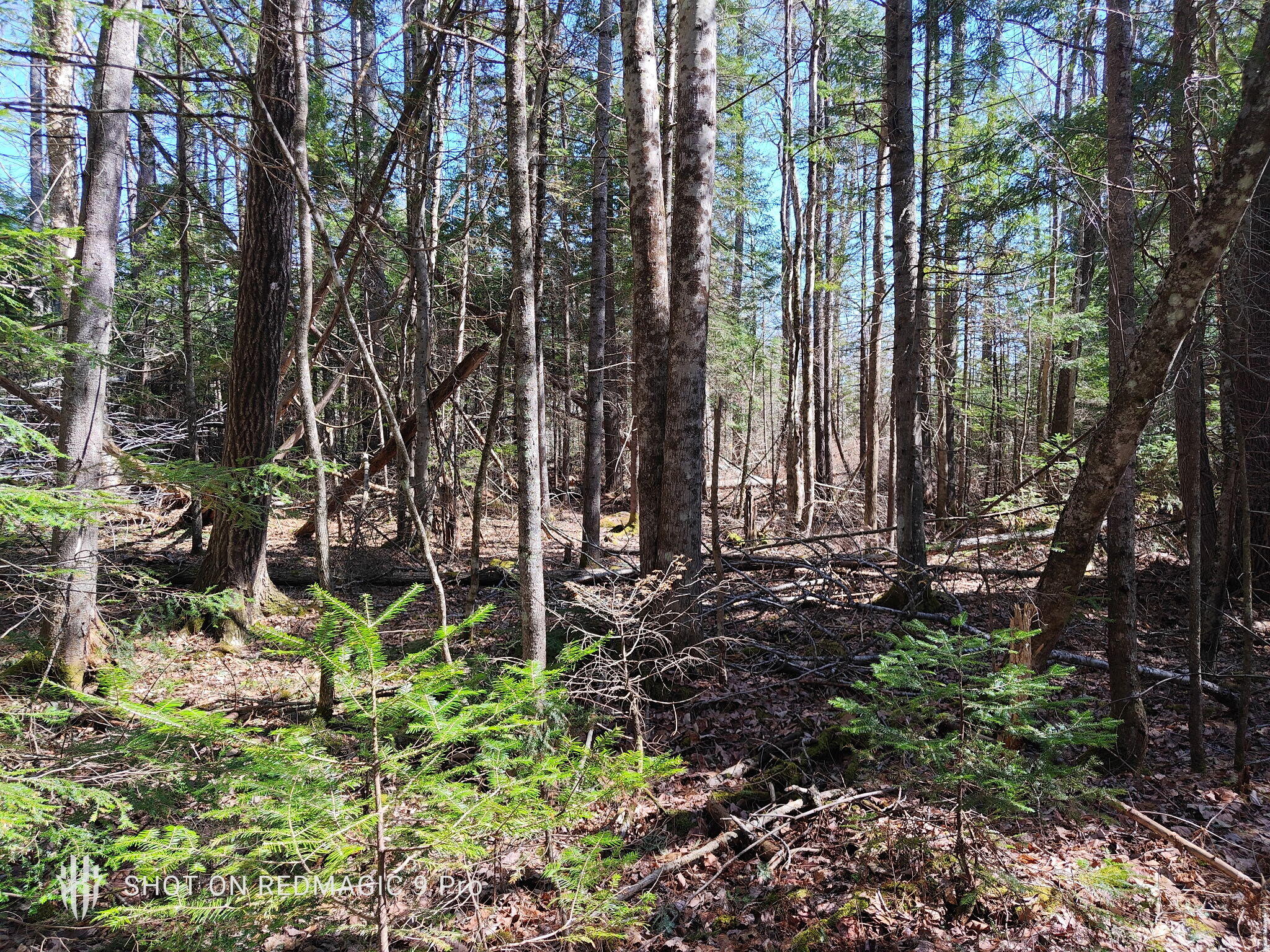 R1 38.1 Parsons Road Property Photo 2