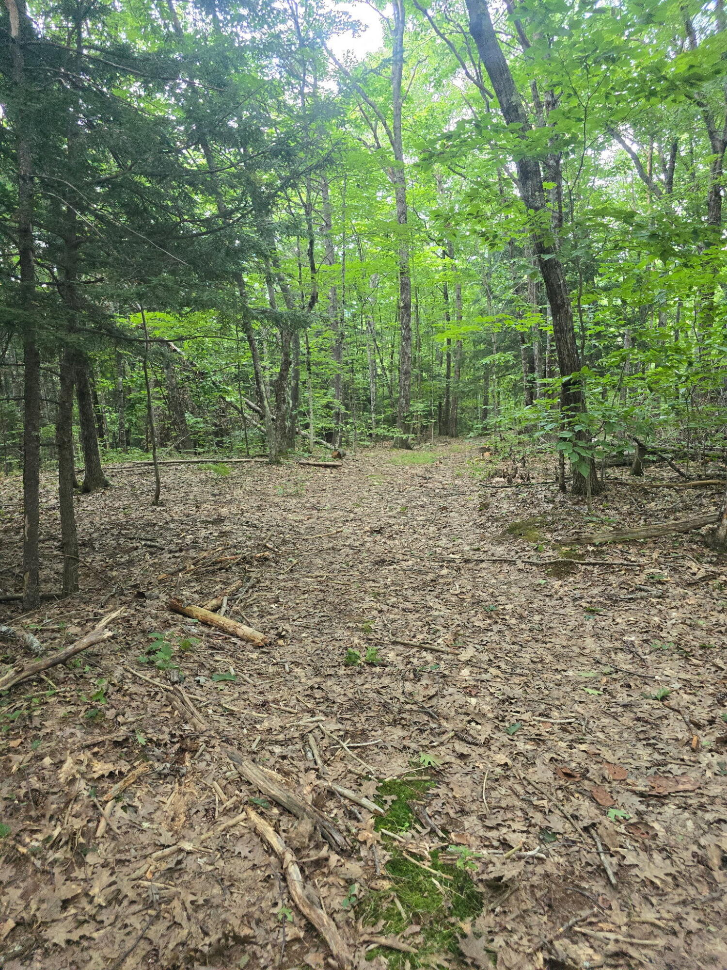 Lot 22-6 Greenleaf Road Property Photo