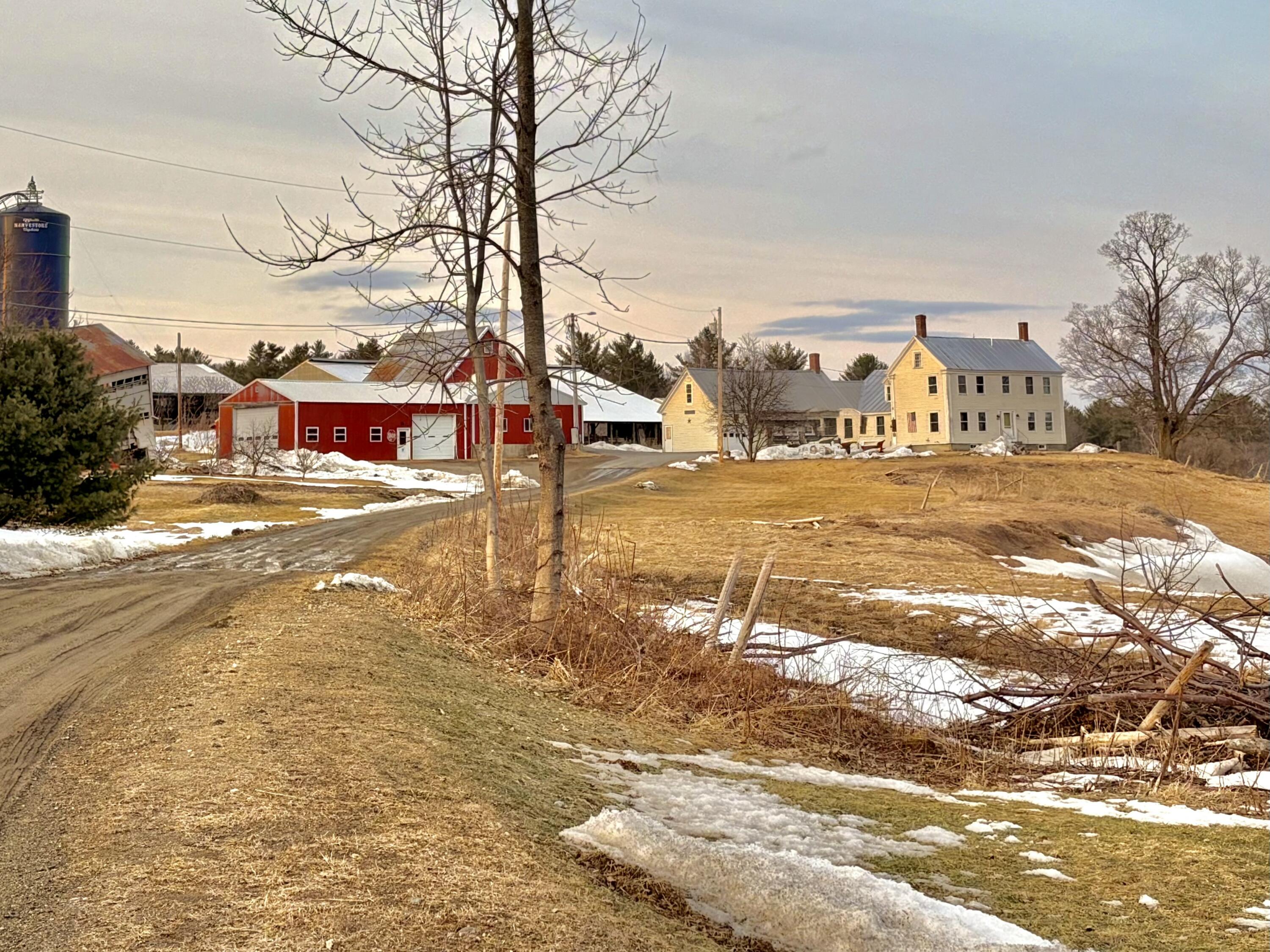 37 Mclaughlin Road Property Photo