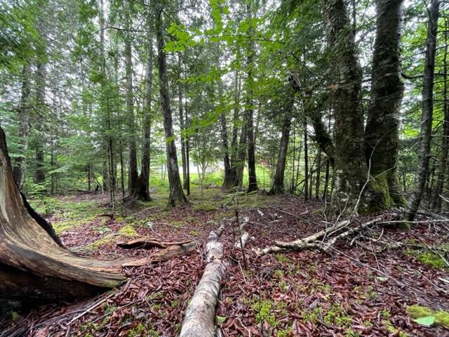 352 Us-1 Route Property Photo 74