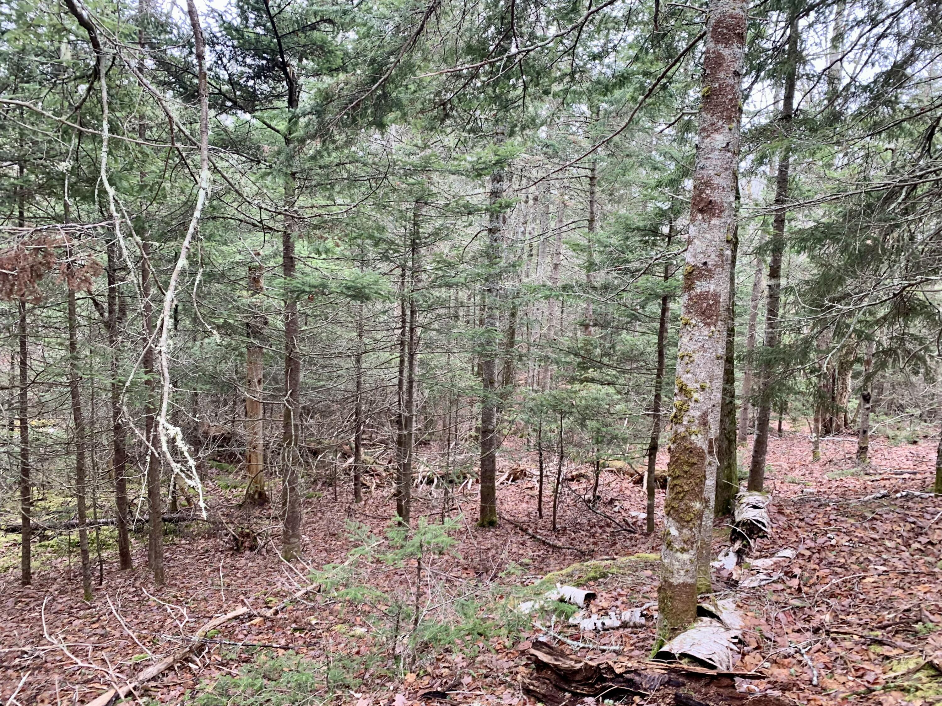 Map11lot31 East River Road Property Photo