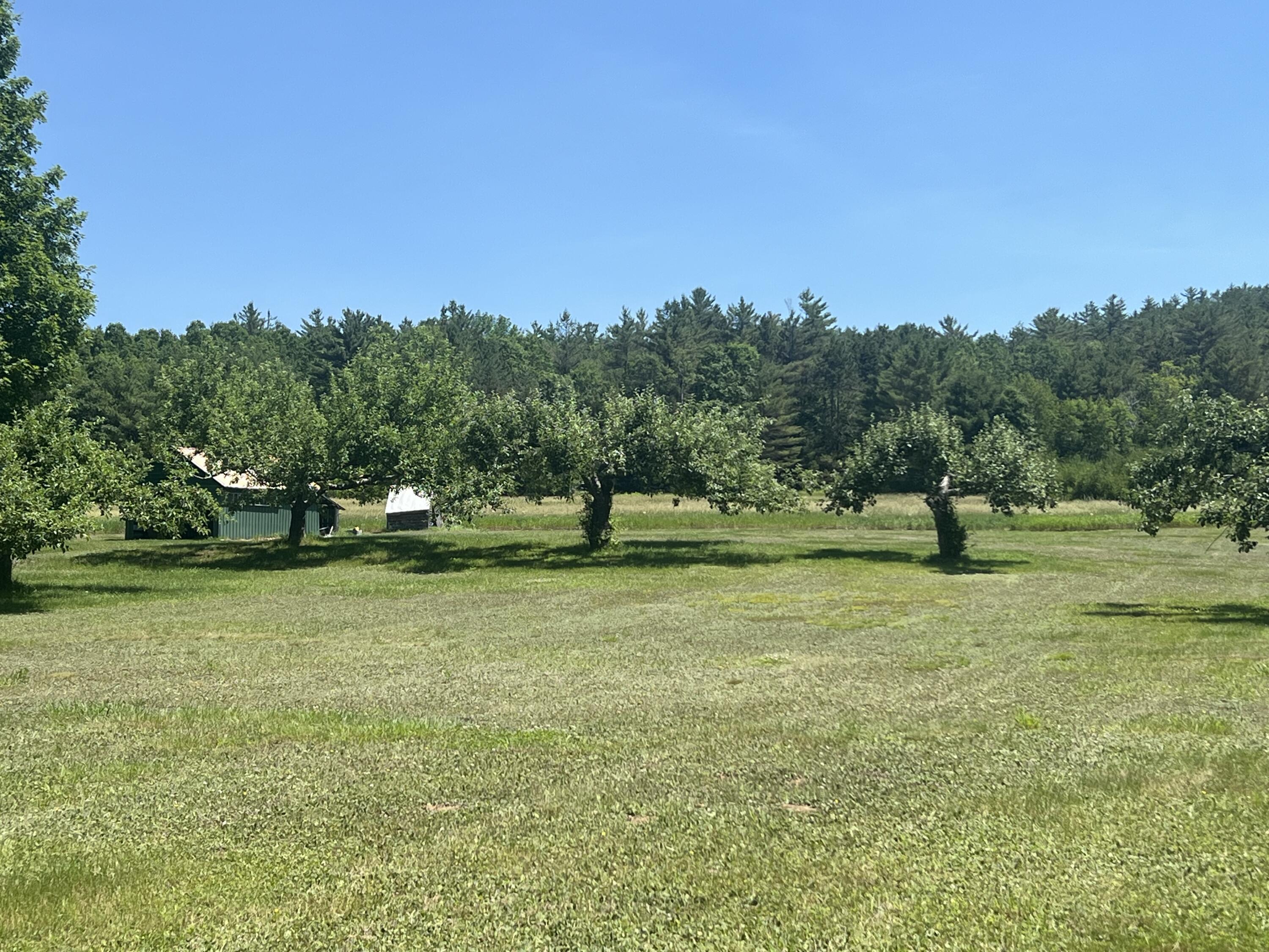 138 Flat Road Property Photo 5