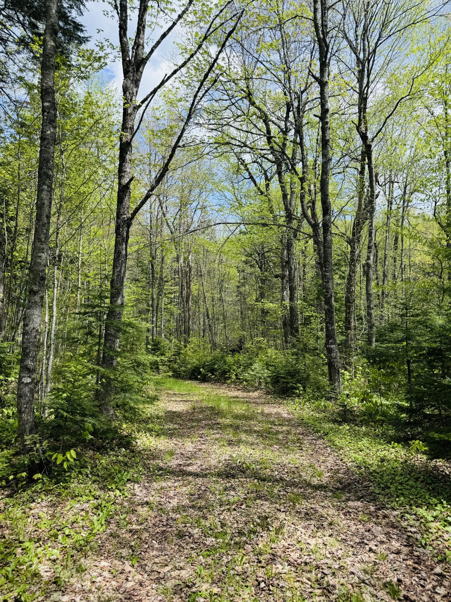 950 Carrying Place Road Property Photo 17