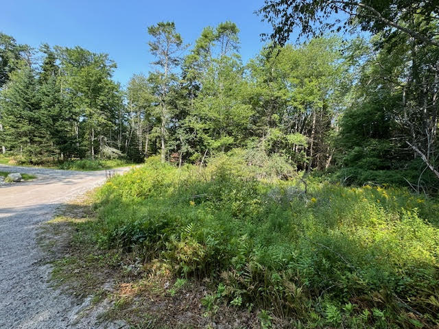 Lot C Long Point Road Property Photo 1