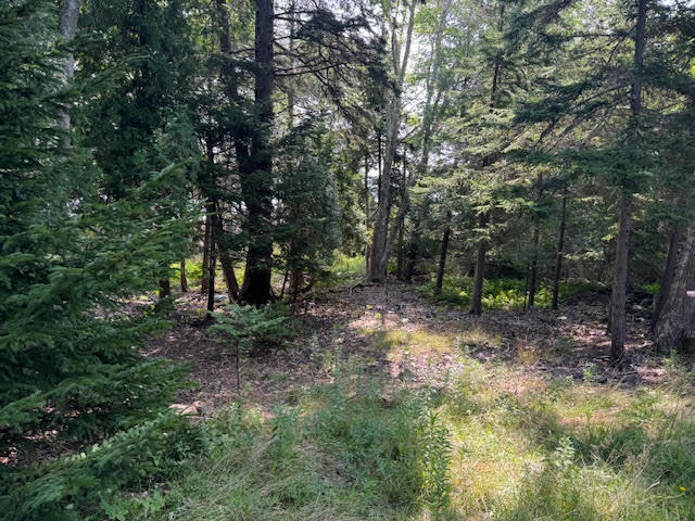 Lot C Long Point Road Property Photo 2