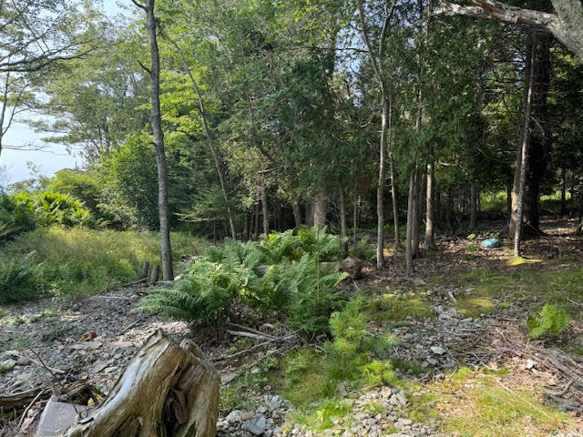 Lot C Long Point Road Property Photo 6