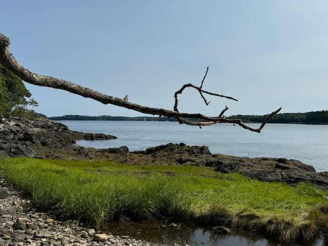 Lot C Long Point Road Property Photo 8