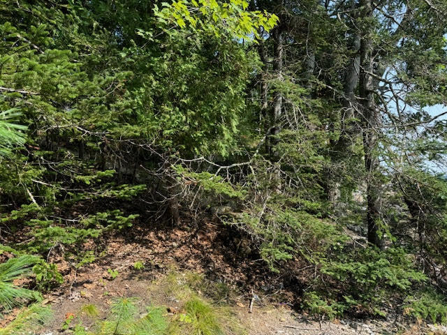 Lot C Long Point Road Property Photo 13
