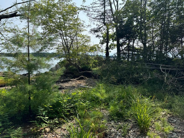 Lot C Long Point Road Property Photo 14