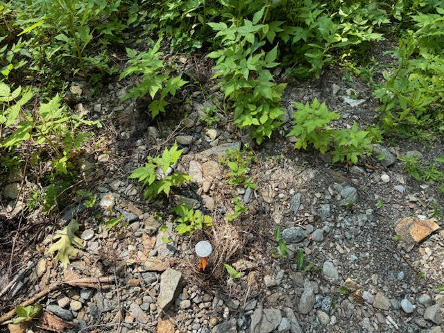Lot C Long Point Road Property Photo 18