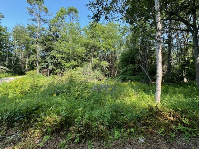 Lot C Long Point Road Property Photo 19