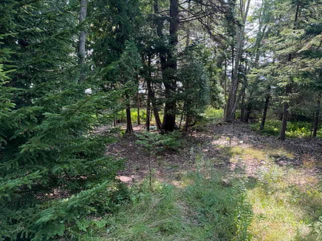 Lot C Long Point Road Property Photo 20