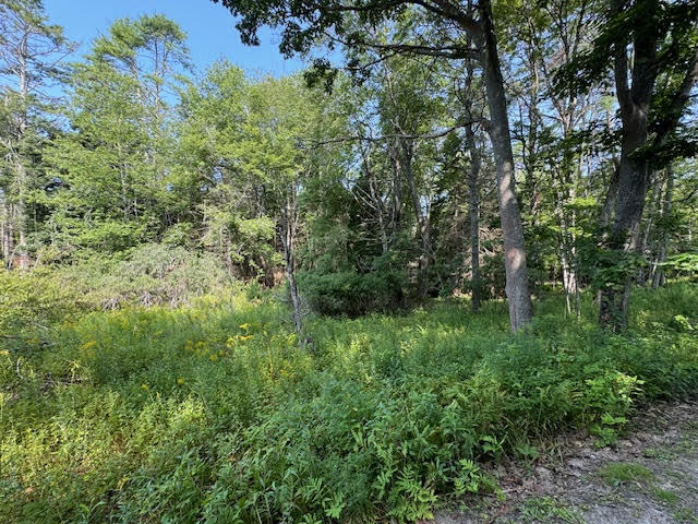 Lot C Long Point Road Property Photo 21