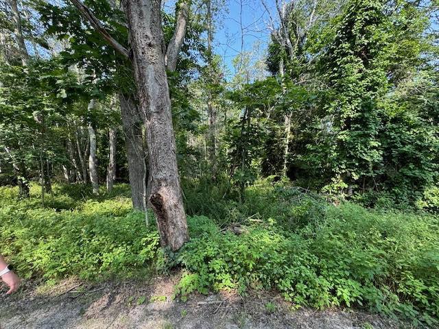Lot C Long Point Road Property Photo 22