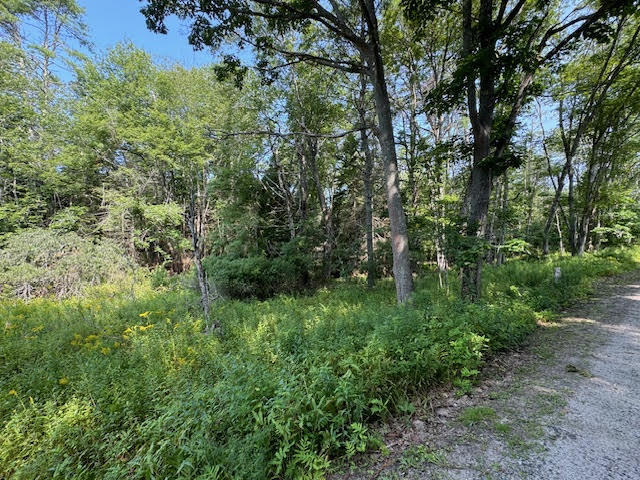 Lot C Long Point Road Property Photo 23