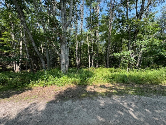 Lot C Long Point Road Property Photo 26
