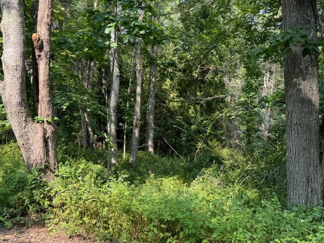 Lot C Long Point Road Property Photo 27
