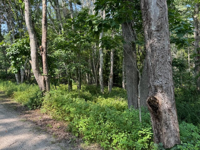 Lot C Long Point Road Property Photo 28