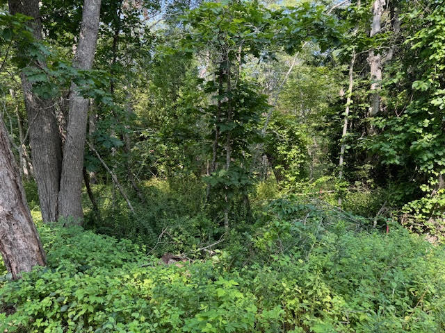 Lot C Long Point Road Property Photo 29