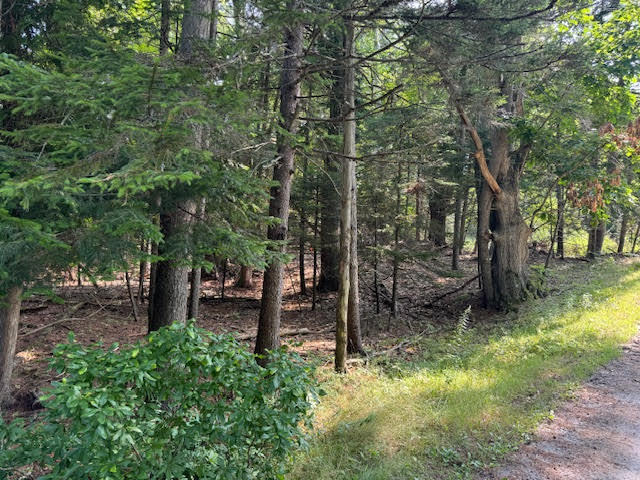 Lot C Long Point Road Property Photo 31