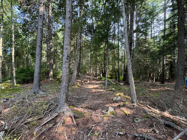 Lot C Long Point Road Property Photo 33